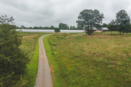 Country Home and Poultry Farm for Sale in Boomer NC - image 48