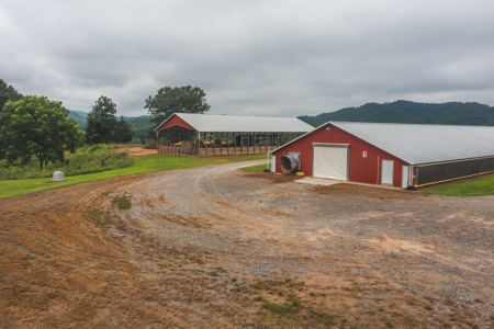 Country Home and Poultry Farm for Sale in Boomer NC - image 23