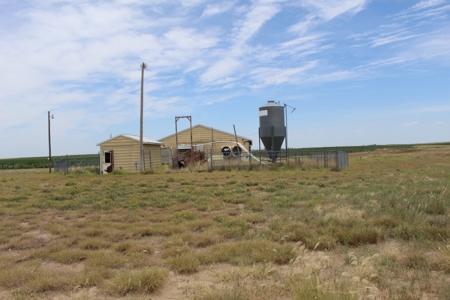 Online and Live Auction KS Swine Production Facility - image 3