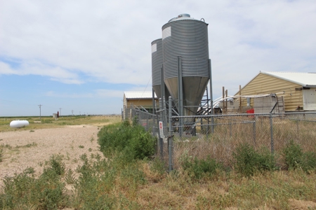 Online and Live Auction KS Swine Production Facility - image 2