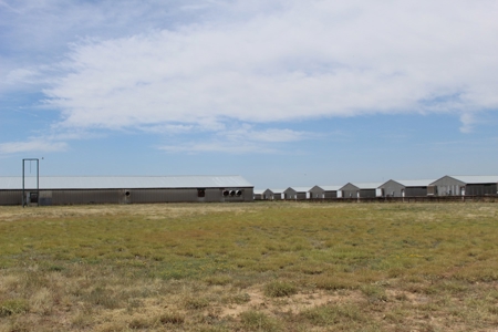Online and Live Auction KS Swine Production Facility - image 15
