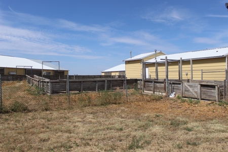 Online and Live Auction KS Swine Production Facility - image 25