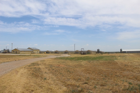 Online and Live Auction KS Swine Production Facility - image 4
