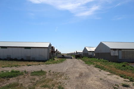 Online and Live Auction KS Swine Production Facility - image 10