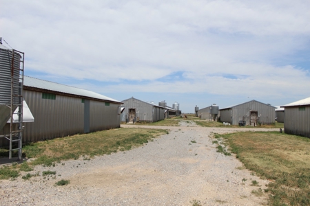 Online and Live Auction KS Swine Production Facility - image 13