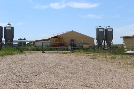 Online and Live Auction KS Swine Production Facility - image 23