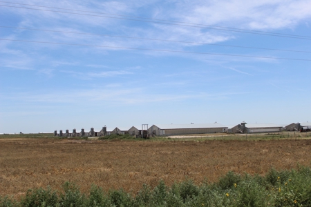 Online and Live Auction KS Swine Production Facility - image 11