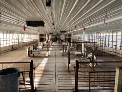 Online and Live Auction KS Swine Production Facility - image 40