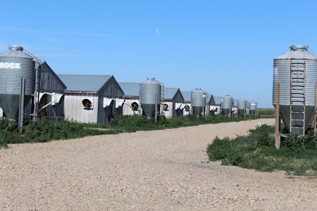 Online and Live Auction KS Swine Production Facility - image 20