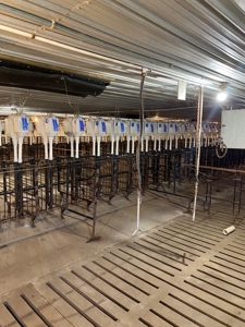 Online and Live Auction KS Swine Production Facility - image 33