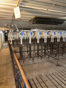 Online and Live Auction KS Swine Production Facility - image 34