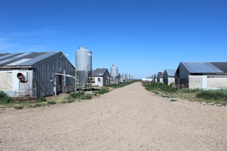Online and Live Auction KS Swine Production Facility - image 21