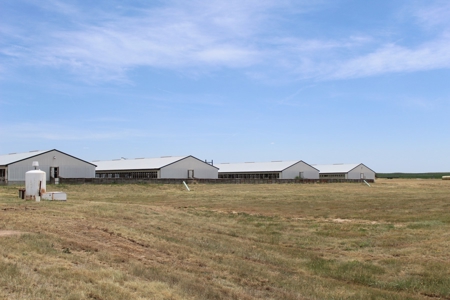 Online and Live Auction KS Swine Production Facility - image 8