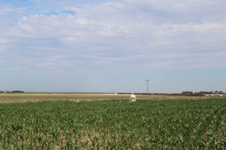 Online and Live Auction KS Swine Production Facility - image 28