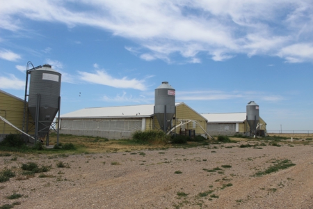 Online and Live Auction KS Swine Production Facility - image 5