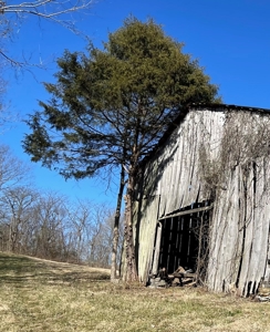 Cabin on 70 Acres Greensburg KY - image 14