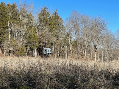 Cabin on 70 Acres Greensburg KY - image 32