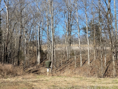 Cabin on 70 Acres Greensburg KY - image 33
