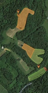 Cabin on 70 Acres Greensburg KY - image 11