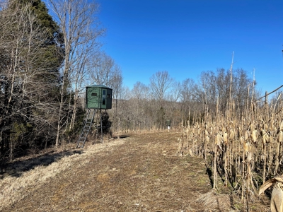 Cabin on 70 Acres Greensburg KY - image 4