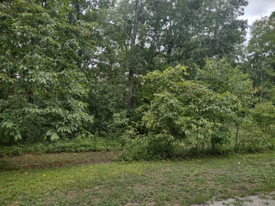 Land for Sale with Acreage in Lewis County Tennessee - image 1