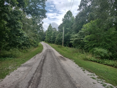 Land for Sale with Acreage in Lewis County Tennessee - image 2