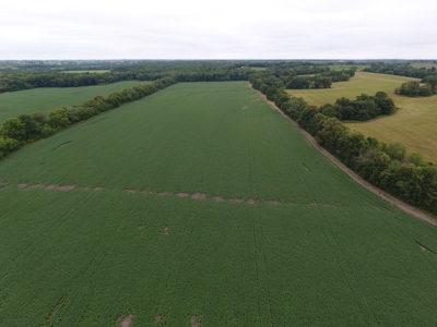 Sullivan County Mo Land Auction - Tract 1 - image 4