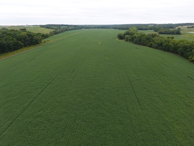 Sullivan County Mo Land Auction - Tract 3 - image 9