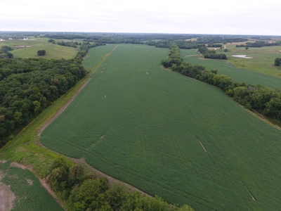 Sullivan County Mo Land Auction - Tract 3 - image 8