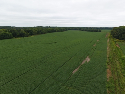 Sullivan County Mo Land Auction - Tract 3 - image 13