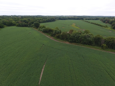 Sullivan County Mo Land Auction - Tract 3 - image 10