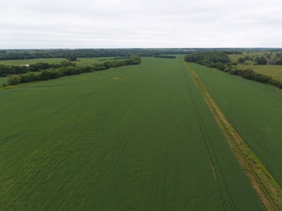 Sullivan County Mo Land Auction - Tract 3 - image 17