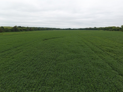 Sullivan County Mo Land Auction - Tract 3 - image 12