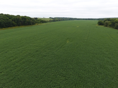 Sullivan County Mo Land Auction - Tract 3 - image 11