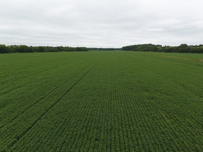 Sullivan County Mo Land Auction - Tract 3 - image 16