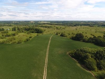 Sullivan County Mo Land Auction - Tract 4 - image 5