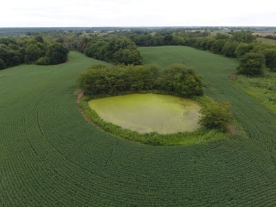Sullivan County Mo Land Auction - Tract 5 - image 5