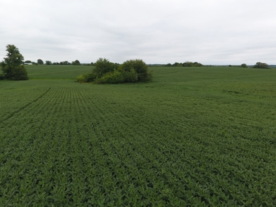 Sullivan County Mo Land Auction - Tract 5 - image 9