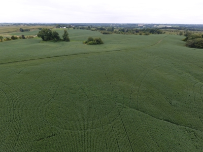 Sullivan County Mo Land Auction - Tract 5 - image 4