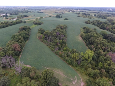 Sullivan County Mo Land Auction - Tract 5 - image 3