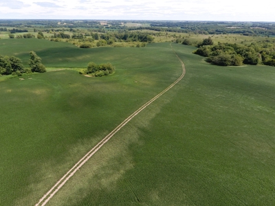 Sullivan County Mo Land Auction - Tract 5 - image 10