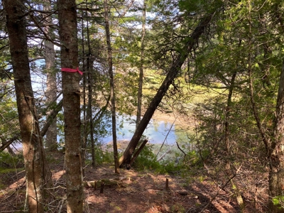 Rural Lot for sale in Perry - image 2