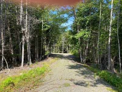 Rural Lot for sale in Perry - image 5