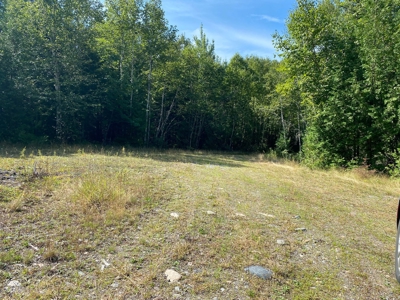 Rural Lot for sale in Perry - image 3