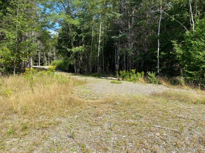 Rural Lot for sale in Perry - image 4