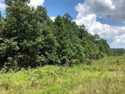 Accepted Offer - Unrestricted Land  in Burkesville, KY - image 3