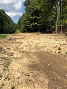Accepted Offer - Unrestricted Land  in Burkesville, KY - image 2