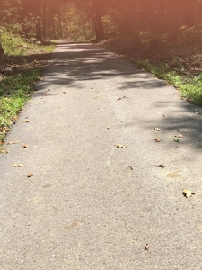 Accepted Offer - Unrestricted Land  in Burkesville, KY - image 4