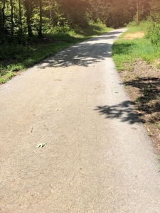 Accepted Offer - Unrestricted Land  in Burkesville, KY - image 5