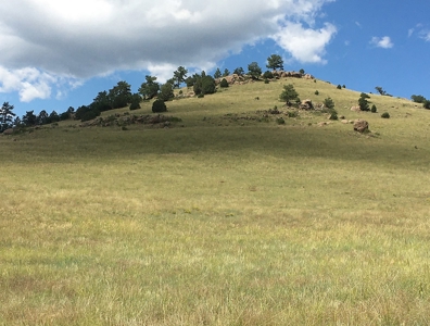 Colorado Mountain Meadows - Forty Acres in Guffey, Colorado - image 4